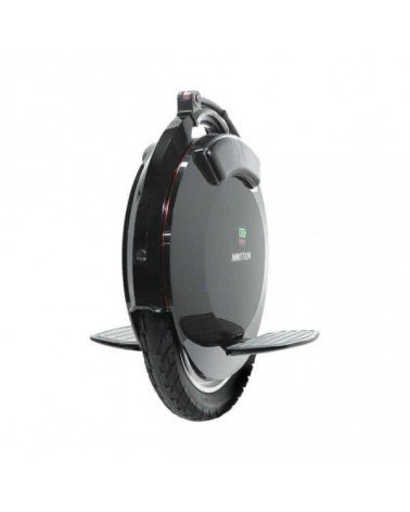 Vienaratis Inmotion V10F 960Wh